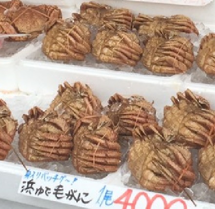 北海道産毛ガニの漁獲量と主要水揚げ地