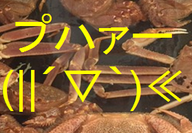 カニを食べ終わったら新聞紙に包んで密封しよう